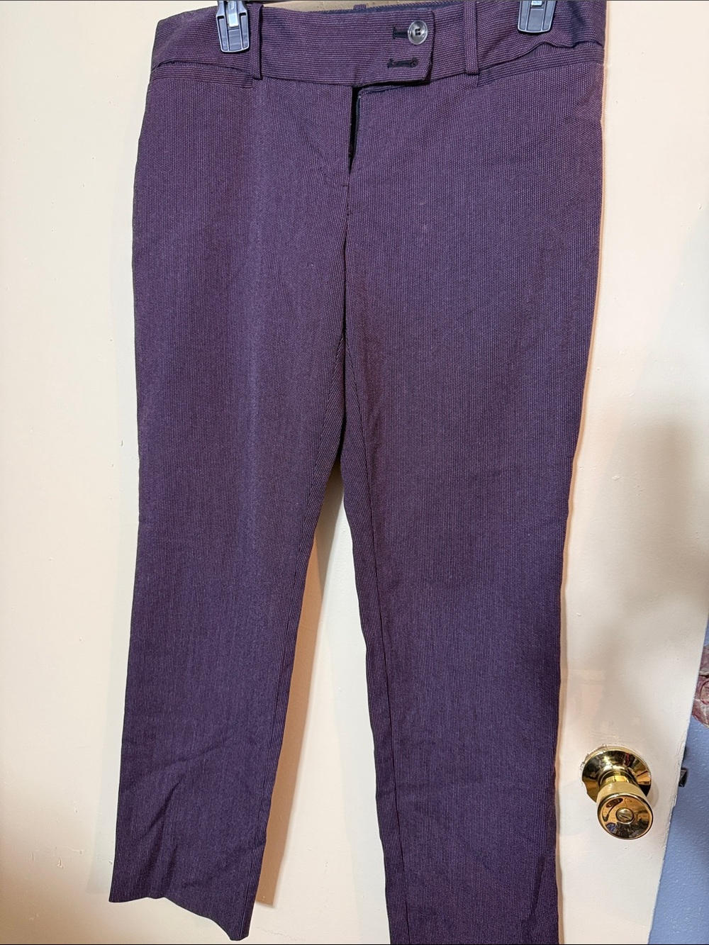 The Limited Men's Plum Dress Pants
